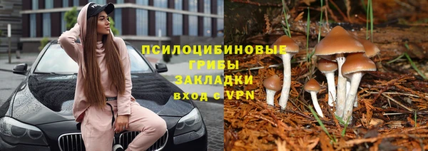 герыч Алзамай