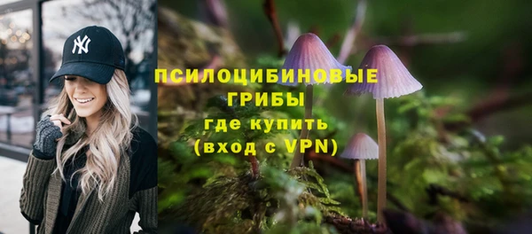 гидропоника Алексин
