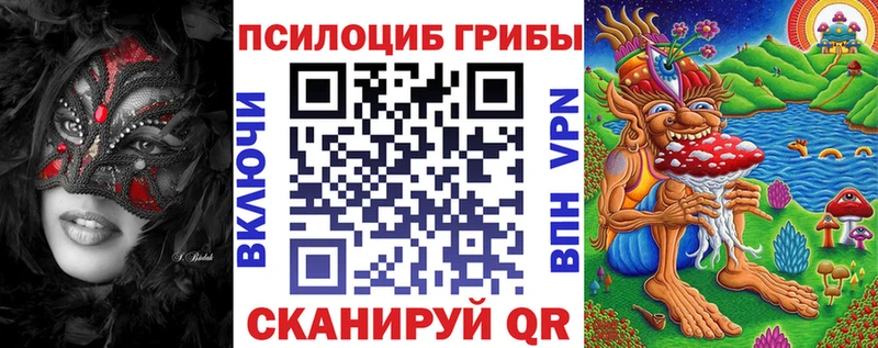 Галлюциногенные грибы Cubensis  мега вход  Георгиевск 